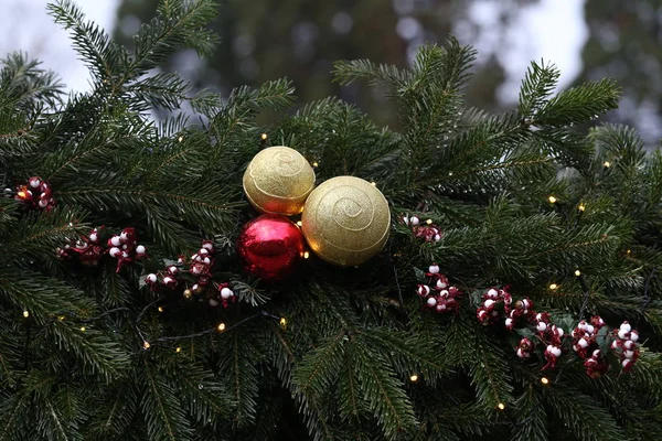 美しいクリスマスと新しい年のシーン — ストック写真