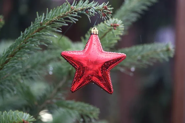 Cena Natal Ano Novo Bonito — Fotografia de Stock