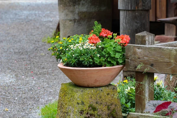 Una Maceta Flores Cerca Casa — Foto de Stock