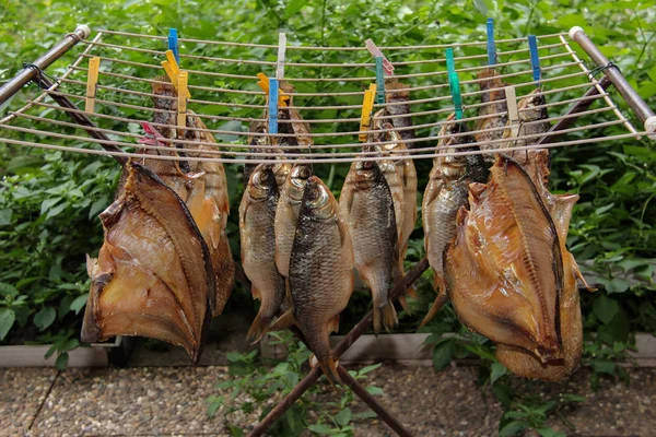 Peixes São Secos Livre Peixe Seco — Fotografia de Stock