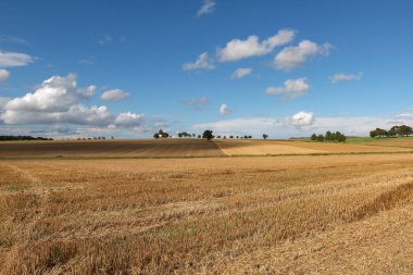 Kırsal manzara / hasat alanı