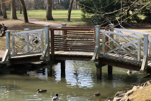 Beautiful Bridges Pedestrians Park — Stock Photo, Image