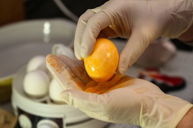 Pişirme ve boya yumurta Paskalya için