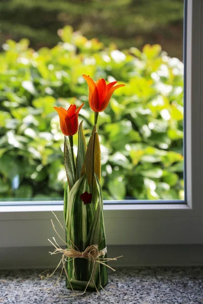 Pencere Pervazında Çiçekler — Stok fotoğraf