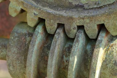 Dişli / solucan arabayla bir solucan sonsuz dişli ile kafesleri bir dişli düzenleme