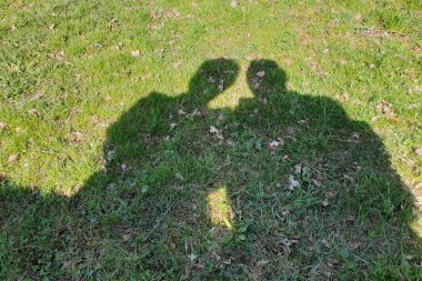 Parkta bir bankta oturan aşıkların gölgeler