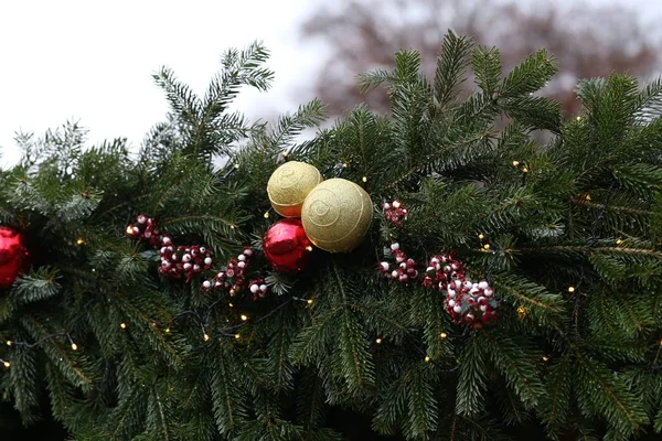 Leuchtende Kugeln Auf Einem Weihnachtsbaum — Stockfoto