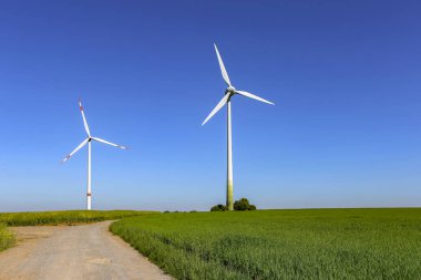 Alternatif enerji / Rüzgar türbinleri bir alanda