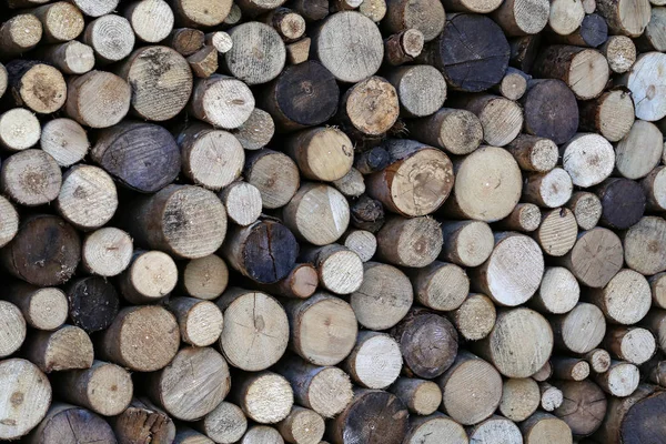 Firewood Folded Firewood — Stock Photo, Image