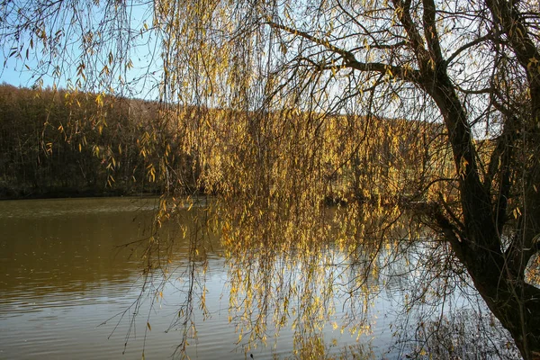 Hösten Landskap Hösten Lake — Stockfoto