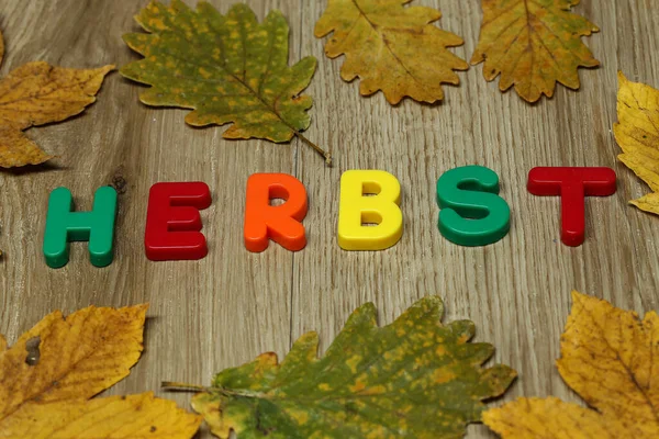 Podzim - Slovo se skládá z barevných plastových písmen — Stock fotografie