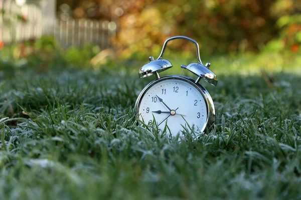 Väckarklockan är i gräset täckt med frost — Stockfoto