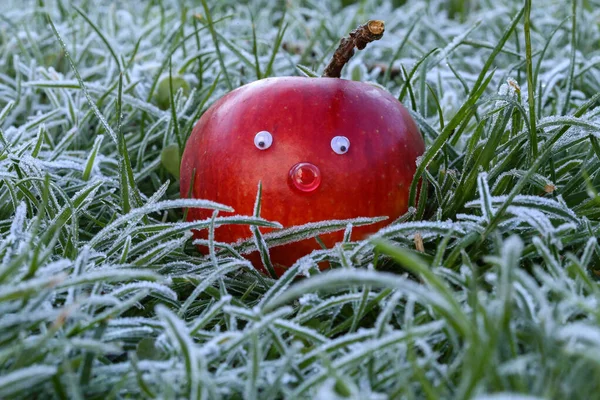 Mooie rode appel in rietgedekte gras — Stockfoto