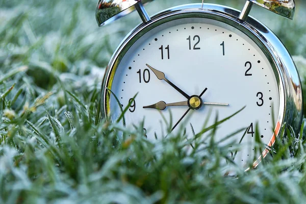 De wekker is in het gras bedekt met vorst — Stockfoto