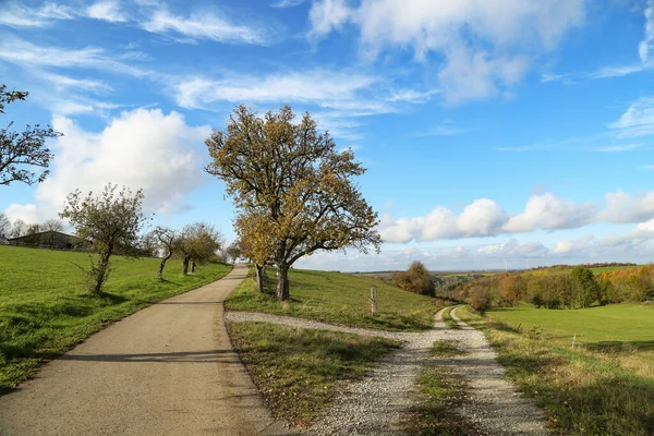 Herbstlandschaft mit einer Gabel auf den Feldwegen — Stockfoto