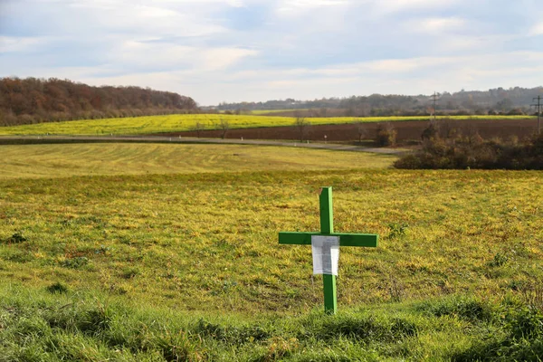 Зелені хрести в німецьких полях мовчазні протести. — стокове фото