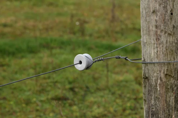 Elektrisches Zauntor schützt eine grüne Graswiese — Stockfoto