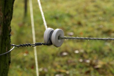 Elektrikli çit kapısı yeşil otlağı korur.