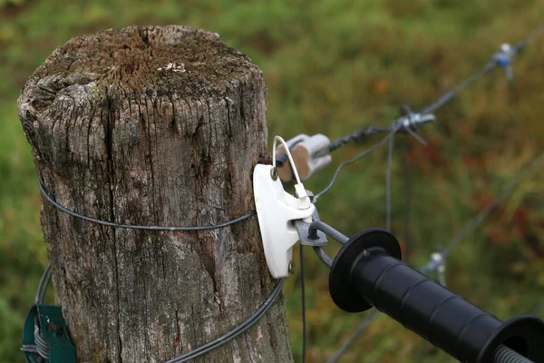 Elektrisches Zauntor schützt eine grüne Graswiese — Stockfoto