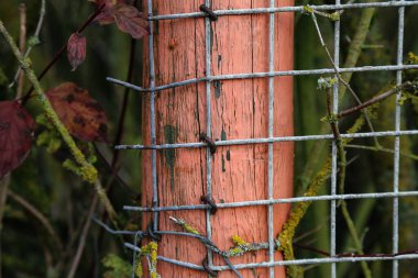 Metal mesh is attached on a wooden pole