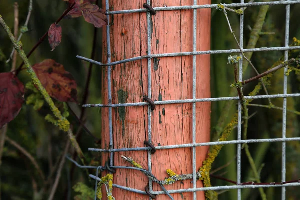 Metal mesh is attached on a wooden pole — Stock Photo, Image