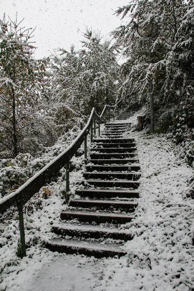 Escalier couvert de neige blanche au milieu — Photo