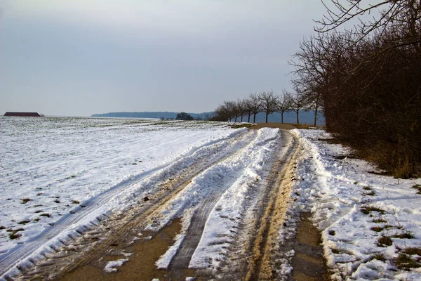 Дорожная трасса на заснеженной полевой дороге — стоковое фото