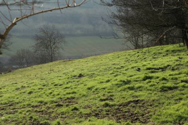 Aralık ayında yeşil çimen Almanya 'da sıcak kış