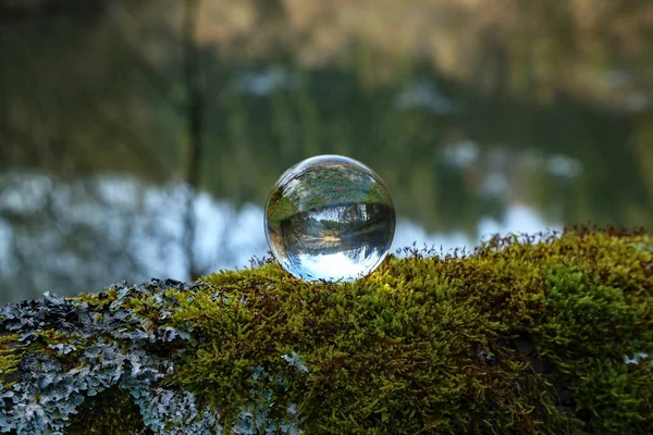 Lesní jezero průhlednou skleněnou kuličkou — Stock fotografie