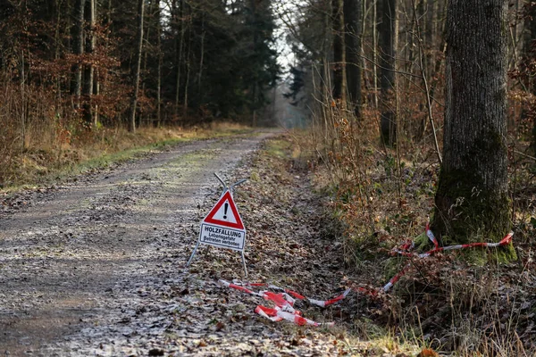 Forest - Text німецькою мовою: деревообробка. Ризик смерті. Не входьте — стокове фото