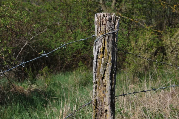 Barbed wire with burred image of field — Stock Photo, Image