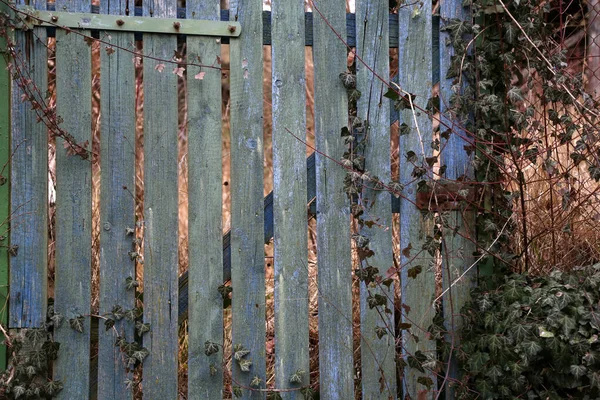 Oude houten omheining met schilferende groene verf — Stockfoto