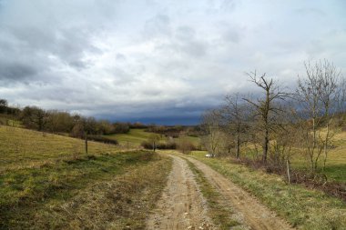 Orta Avrupa 'da kış manzarası anormal derecede sıcak.