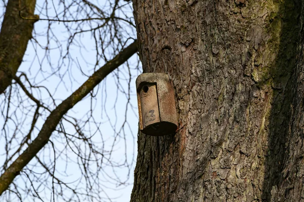Birdbox - caixa como casa para animal de pássaro — Fotografia de Stock