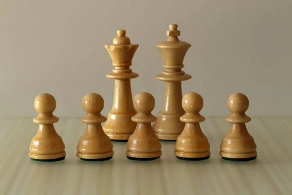 Chess pieces on a blurry light background.