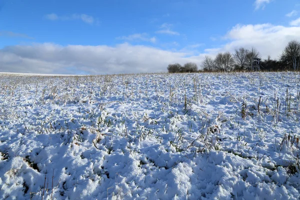 Winter field under cloudy gray sky. European fields landscape at winter.