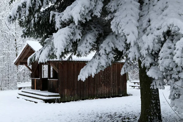 Paysage Hivernal Avec Une Cabane Dans Forêt — Photo