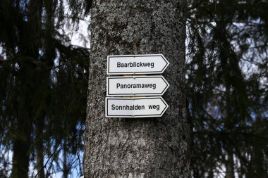 Kara Orman 'da yürüyüş yolları, çeviri - Panoramaweg, Baarblickweg, Sonnhaldenweg
