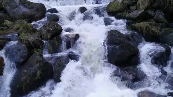 Vodopád Krásný Vodopád Tribergu Německo — Stock video