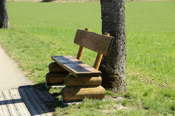 Bench in the park. Wooden bench for rest.