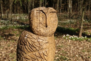 Ağaçtan işlenmiş bir baykuş figürü ormanda duruyor.