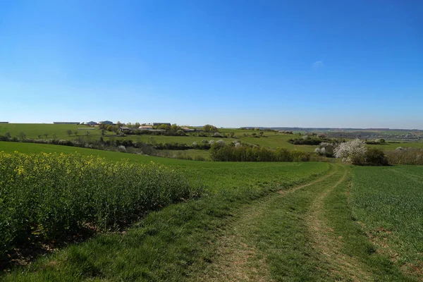 Paesaggio Primaverile Con Prati Prati Verdi Una Giornata Limpida — Foto Stock