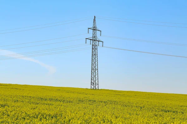 Power Mast Stands Blooming Rapeseed Field — Stock Photo, Image