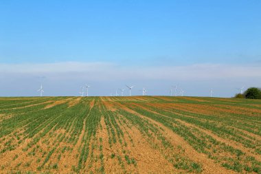 Yeşil filizlerle ve uzaktaki yel değirmenleriyle dolu bir tarlası olan bahar manzarası