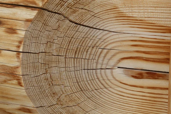 Årliga ringar och sprickor på ett träd klippt — Stockfoto