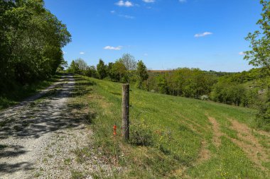 Yeşil çayırlar ve mavi gökyüzü olan ilkbahar manzarası.
