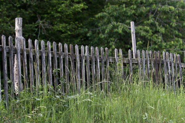 用天然木板做的旧花园篱笆 — 图库照片