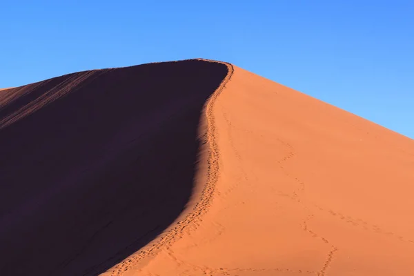 Dune 45 o zachodzie słońca na pustyni Namib, Namibia — Zdjęcie stockowe