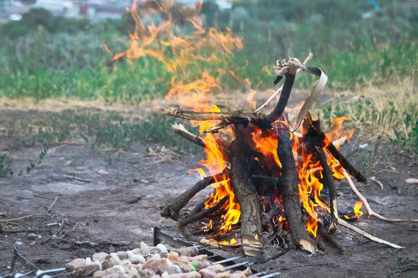 観光キャンプ火災 串焼き ステーキを調理します 赤い炎 — ストック写真