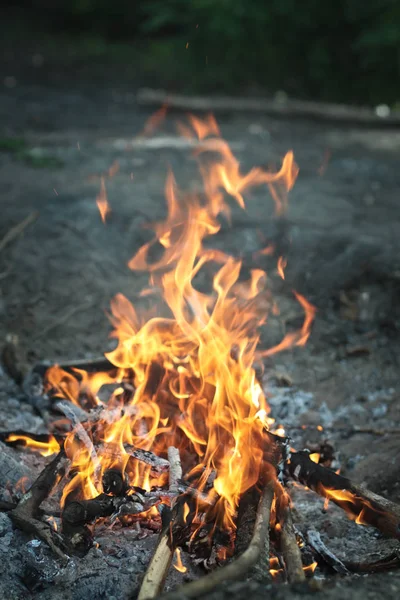 夕方には焚き火で観光。非常に熱い丸太、fi の薪 — ストック写真